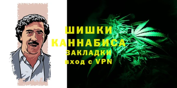 индика Ладушкин