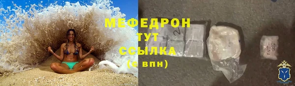 индика Ладушкин