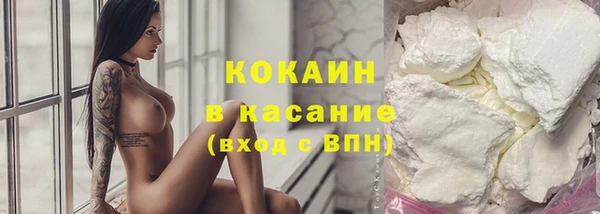 индика Ладушкин