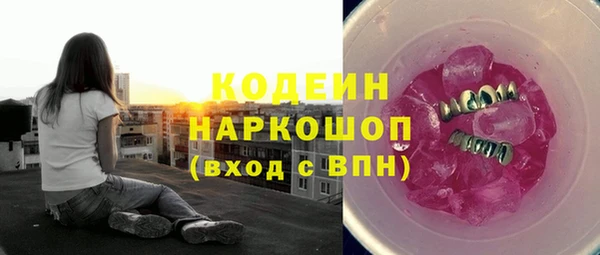 индика Ладушкин