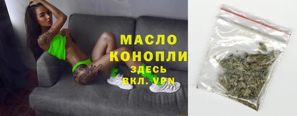 индика Ладушкин