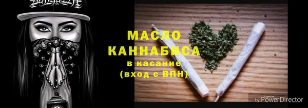 индика Ладушкин
