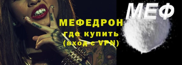 индика Ладушкин