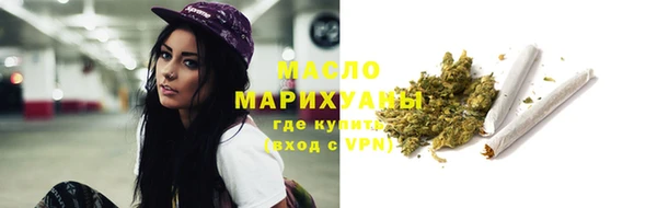 индика Ладушкин