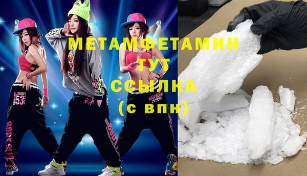 индика Ладушкин
