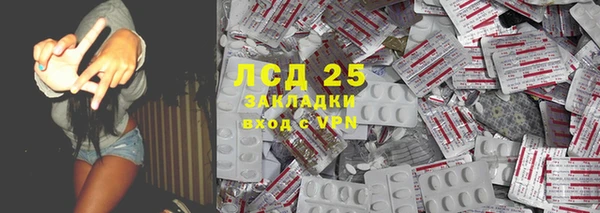 индика Ладушкин