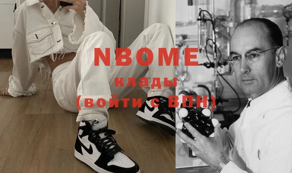 индика Ладушкин