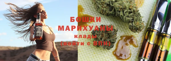 индика Ладушкин