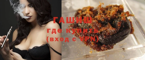 индика Ладушкин
