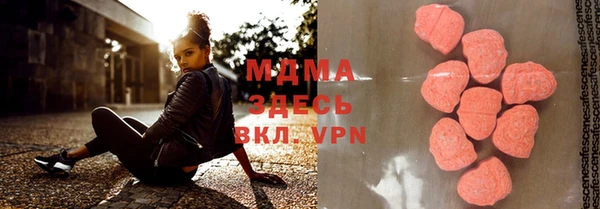 индика Ладушкин
